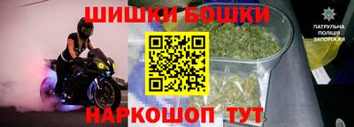 стаф Камышлов