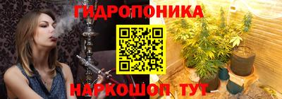 ECSTASY Канаш