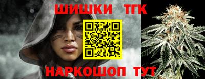 стаф Камышлов